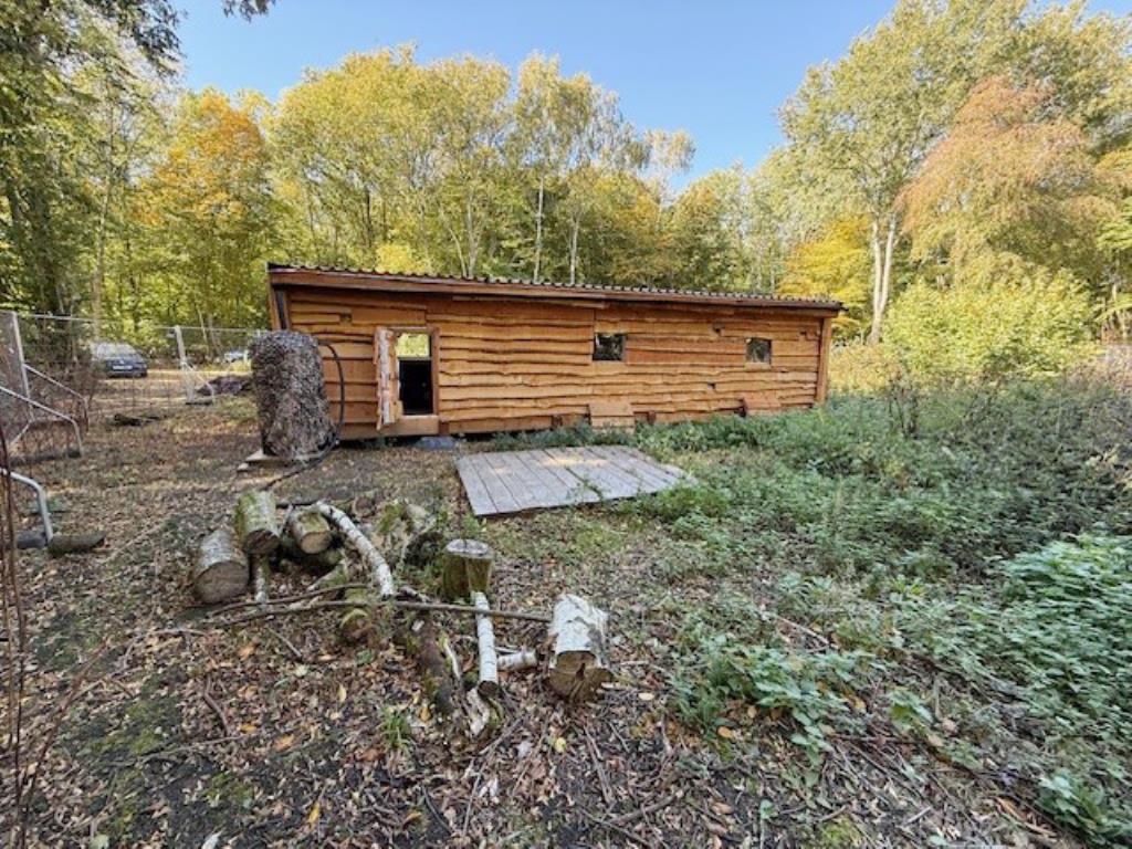 Lot: 48 - WOODLAND AND FORESTRY BUILDING - Back view of forestry building and further woodland